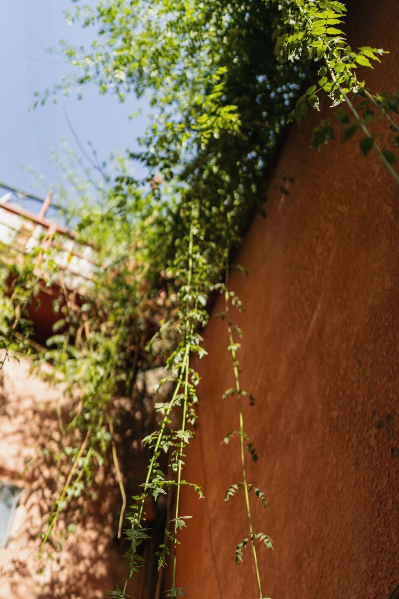 Riad Senja 마라케시 외부 사진